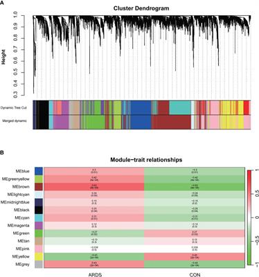 Hub genes identification and validation of ferroptosis in SARS-CoV-2 induced ARDS: perspective from transcriptome analysis